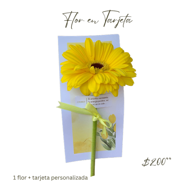 Flor en Tarjeta